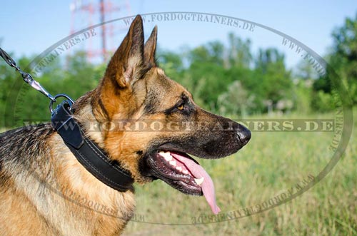 Klassisches Deutscher Schäferhund Leder Hundehalsband