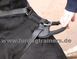 Leather Dog Harness for Schutzhund and Attack