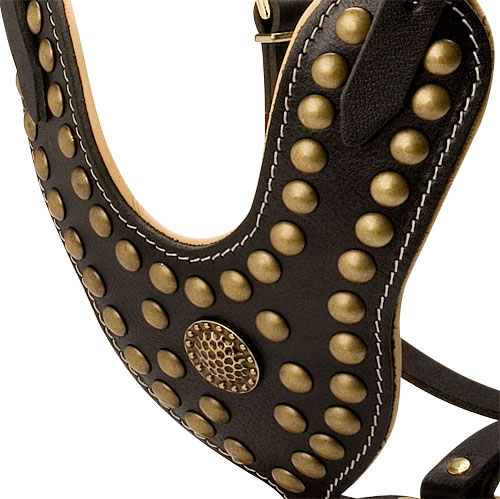 Exclusive Dog Harness Leather | Harness with Nappa and Rivets