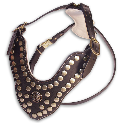 Exclusive Dog Harness Leather | Harness with Nappa and Rivets