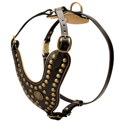 Exclusive Dog Harness Leather | Harness with Nappa and Rivets