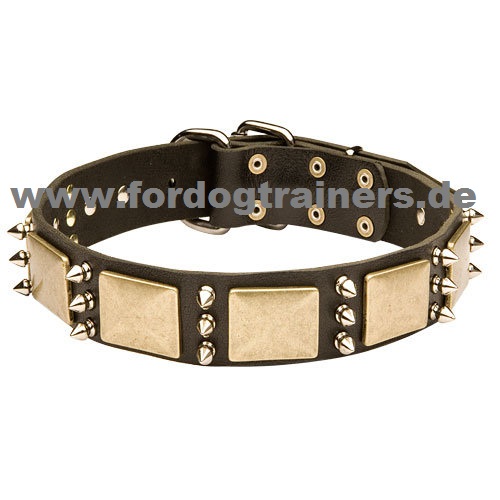 Studded Leather Dog Collar with Plates and Spikes