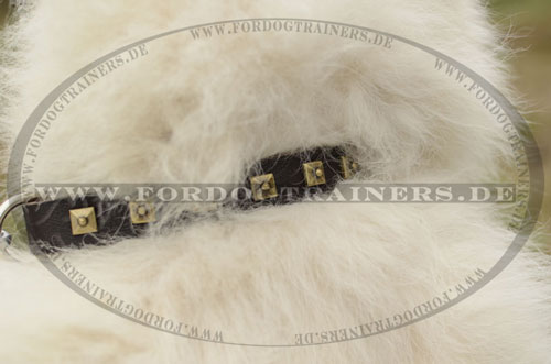 Genietetes Hundehalsband aus Leder Samojede - zum Schließen ins Bild klicken