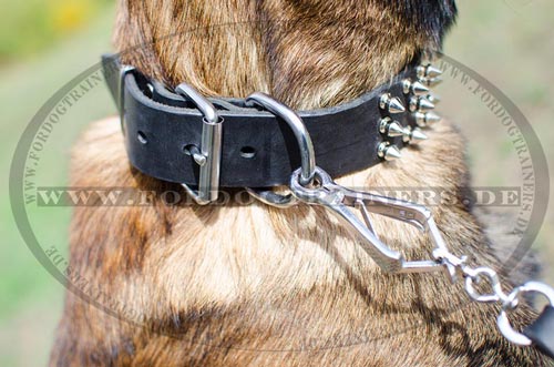Dog-friendly Leather Collar with Spikes Malinois - Click Image to Close