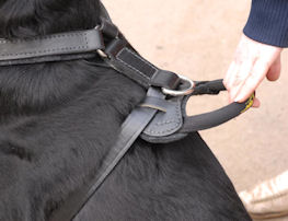 Protection,Attack Leather Dog Harness K9 for Great Dane