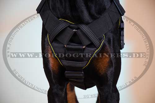 Geschirr aus Nylon Dobermann für Sport K9 ❺