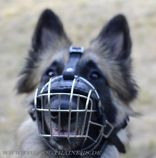 Dog Muzzle of Wire for tervuren Dog Breed