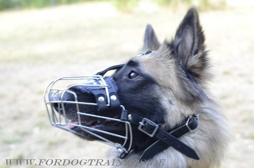 Dog Muzzle of Wire for tervuren Dog Breed