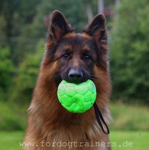 Rubber ball on string for puppies and small dog breeds, 5 cm