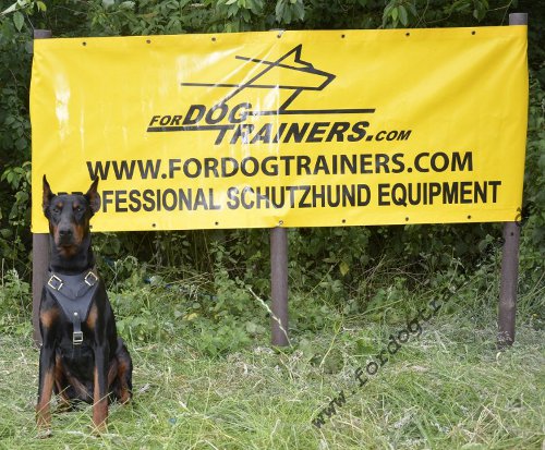 Doberman Protection and Attack Leather Dog Harness