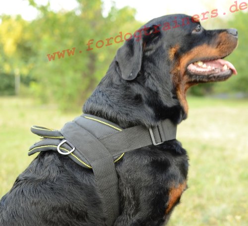 Bestseller! Allwetter-Hundegeschirr aus Nylon für Rottweiler - zum Schließen ins Bild klicken