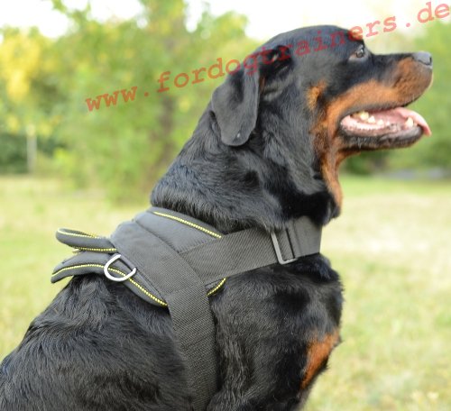 Bestseller! Allwetter-Hundegeschirr aus Nylon für Rottweiler