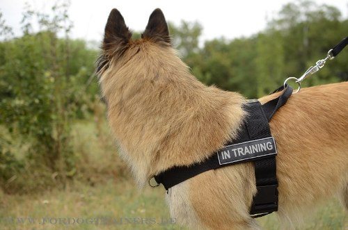 Nylon Hundegeschirr für Tervueren Hundesport/ Hundetraining