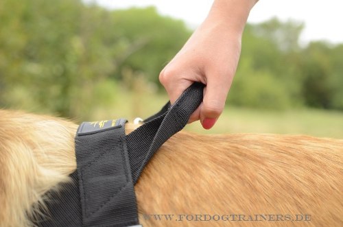 Nylon Hundegeschirr für Tervueren Hundesport/ Hundetraining