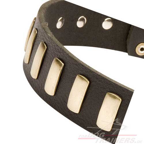 Breites Hundehalsband aus Leder mit feinen Messingplatten - zum Schließen ins Bild klicken