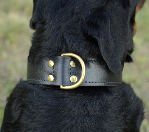 Leder Hundehalsband für Rottweiler Nappa Exklusiv - €59.9