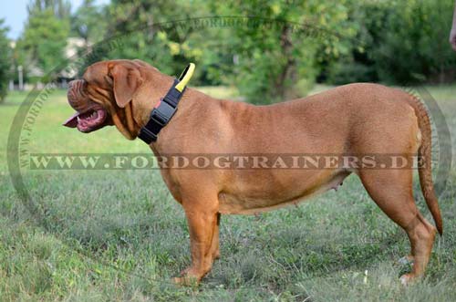 Hundehalsband Nylon | Bordeauxdogge Halsband mit Schlaufe - zum Schließen ins Bild klicken