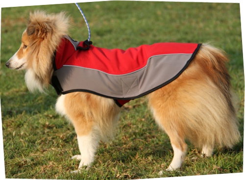 Hundekleidung aus Nylon für Sheltie ❊ - zum Schließen ins Bild klicken