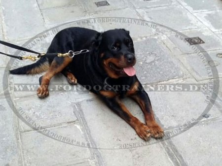 Multifunktionale Hundeleine aus Leder für Rottweiler