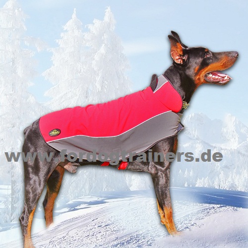 Bestseller Hundemantel Nylon für Dobermann - zum Schließen ins Bild klicken