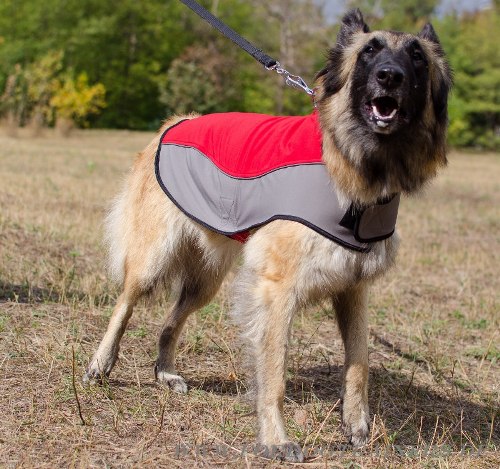 Hundekleidung für Tervueren, Atmungsaktiv