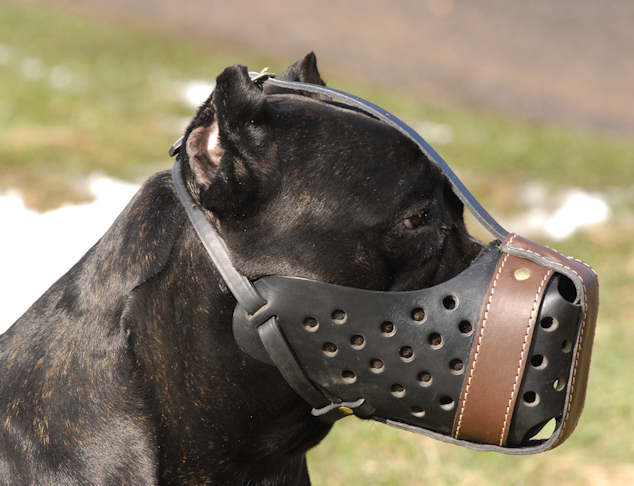 Leather Dog Muzzle "Dondi plus" for Cane Corso