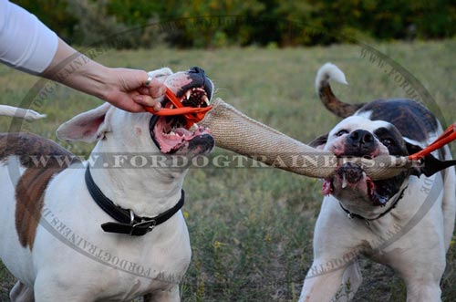 Beißwurst aus Jute für Bulldogge mit 2 Handschlaufen, groß - zum Schließen ins Bild klicken