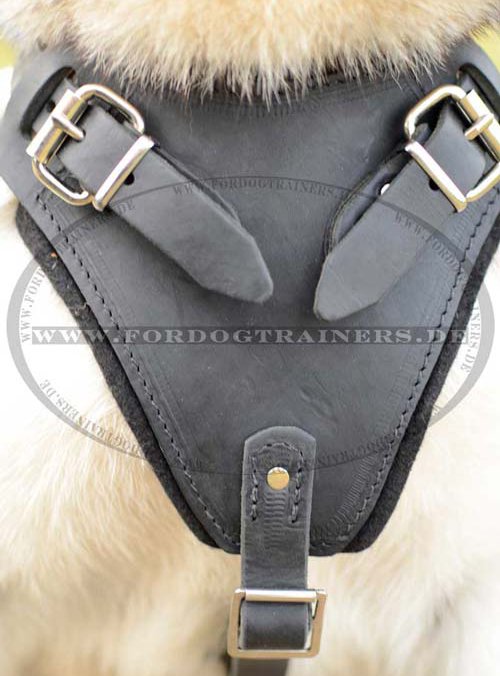 Husky K-9 Harness Leather