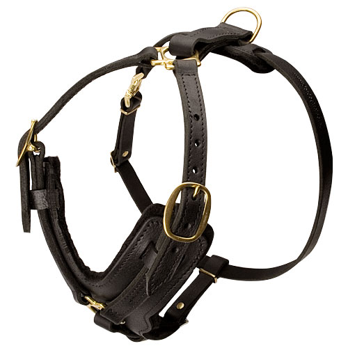 Padded Dog Harness for Schutzhund, Luxury Design