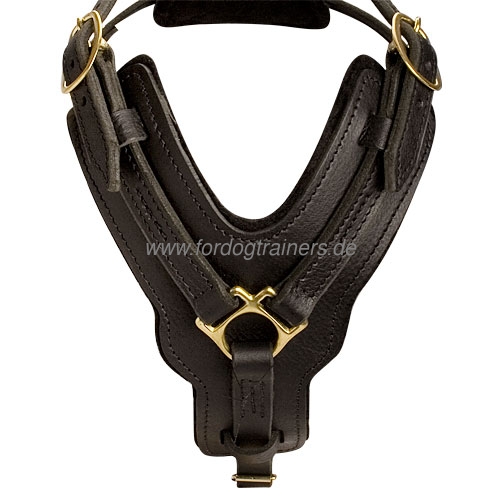 Bestseller Hundegeschirr Leder für Schutzhunde mit Luxus Design