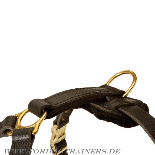 Padded Dog Harness for Schutzhund, Luxury Design