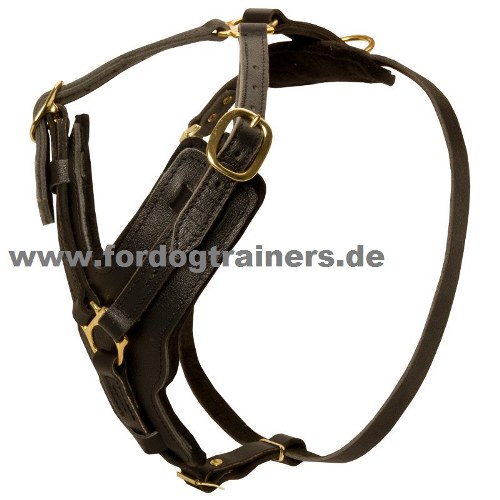 Hundegeschirr aus Leder Luxus Design für Hundesport