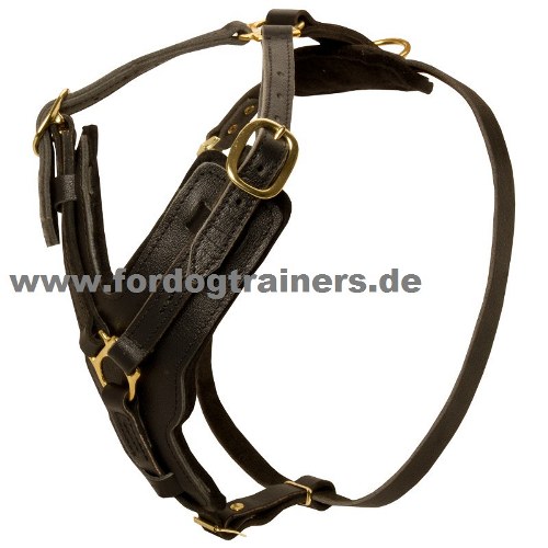 Bestseller Hundegeschirr Leder für Schutzhunde mit Luxus Design