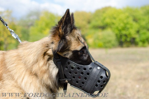 Tervueren Hundemaulkorb Leder für Polizeihunde