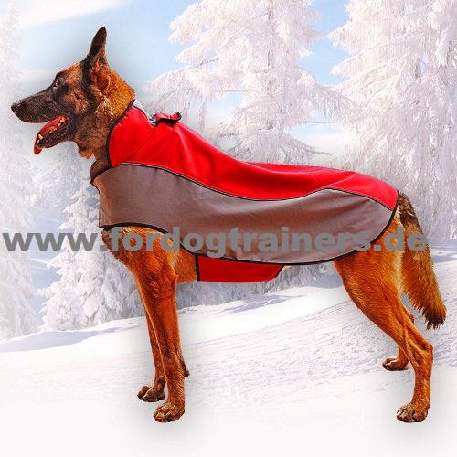 Hundekleidung aus Nylon für Malinois - zum Schließen ins Bild klicken