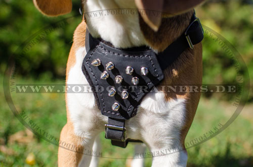 Dog Harness with Spikes for Small Dogs| Harness for Puppies