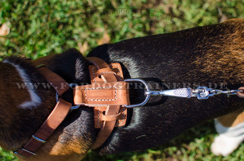 Dog Harness with Spikes for Small Dogs| Harness for Puppies