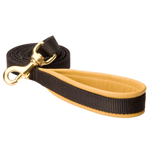 Dog leash of Nylon with support material on the handle