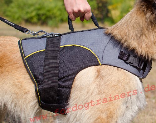 Nylon Outdoor Dog Harness for Labrador