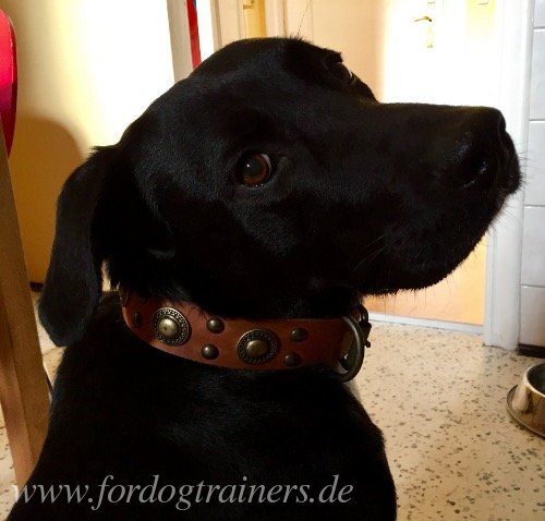 Hundehalsband Leder im Stil für Labrador "Weltraum"