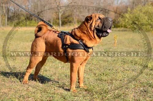 Zuggeschirr für Hundesport | Hundegeschirr Gepolstert Sharpei