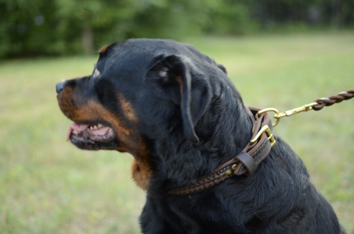 Halsband Leder Rottweiler | Hunde-Lederhalsband Geflochten