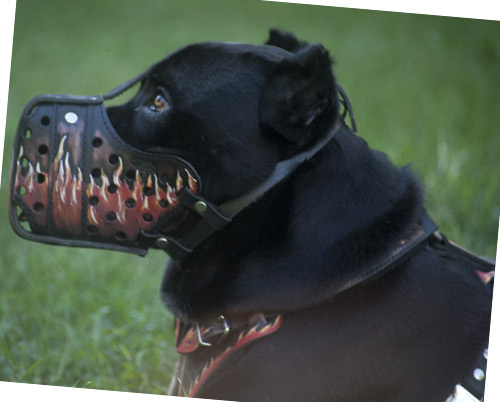 Hundemaulkorb Leder für Cane Corso Mastiff mit Flamme-Design