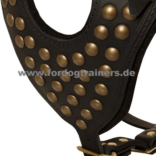 Dog Harness with Gold Colored Studs | Leather Harness