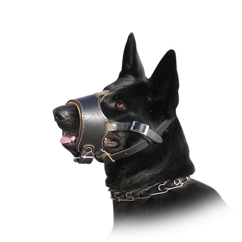 Starkes Licht Leder Hund Maulkorb für Husky und anderen Ähnlichen Schnauze 