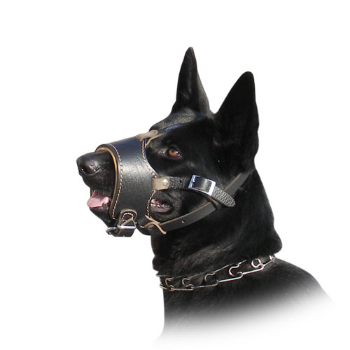 Royal Padded Leather Dog Muzzle for German Shepherd