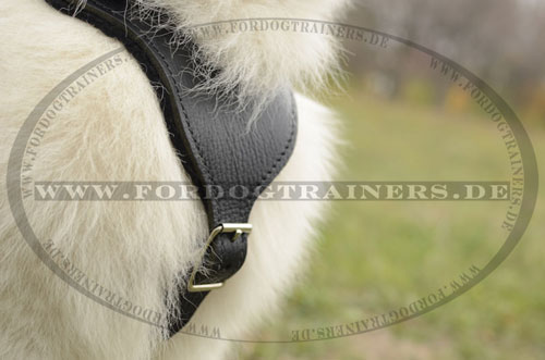 Samojede Hundegeschirr Schutzhund