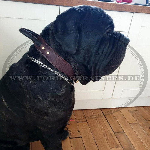 Mastino Leather agitation dog collar with handle - Click Image to Close