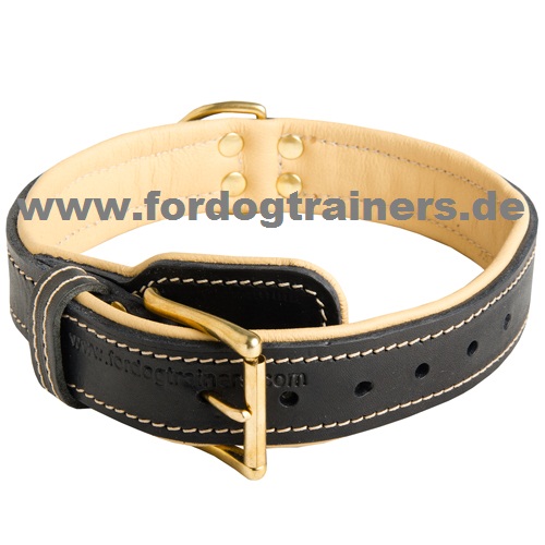 Bestseller Royal Hundehalsband aus Leder mit Nappapolsterung