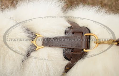 Bestseller Hundegeschirr Leder | Luxus Geschirr ❺❺❺ Handarbeit!